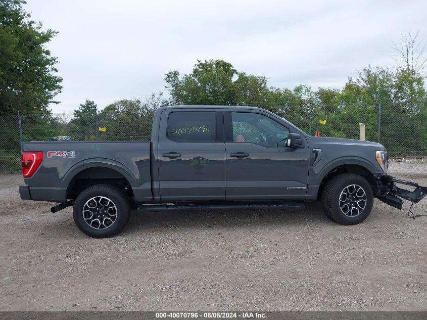 FORD F-150 XLT 2021