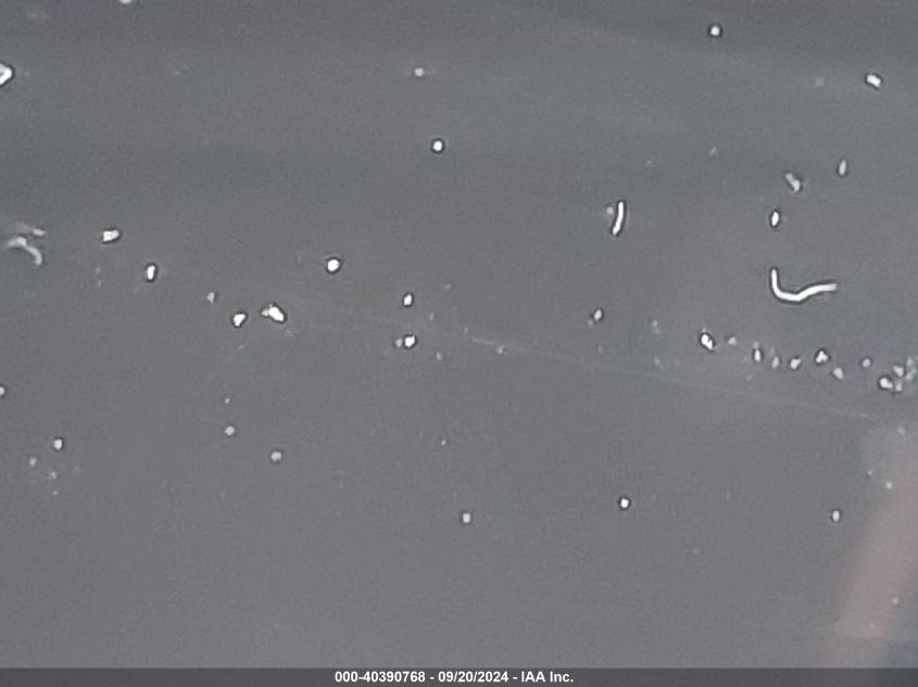 HONDA ACCORD HYBRID SPORT 2022