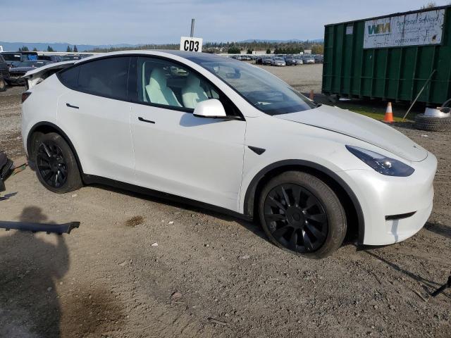 TESLA MODEL Y  2023