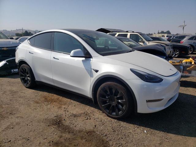 TESLA MODEL Y  2023