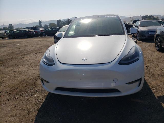 TESLA MODEL Y  2023