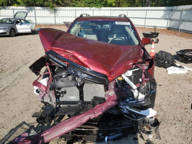 SUBARU FORESTER P 2023