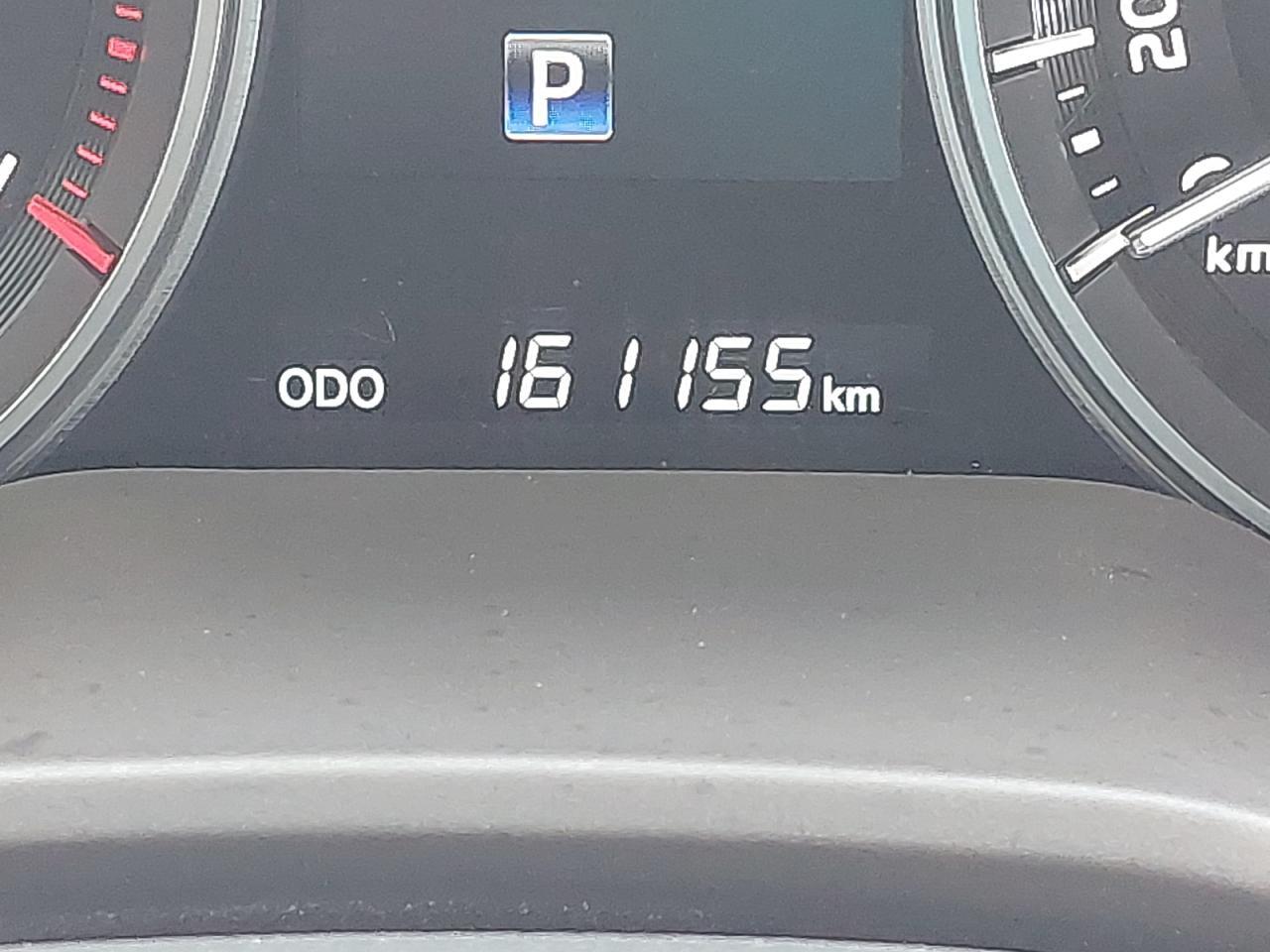 TOYOTA LAND CRUIS  2021