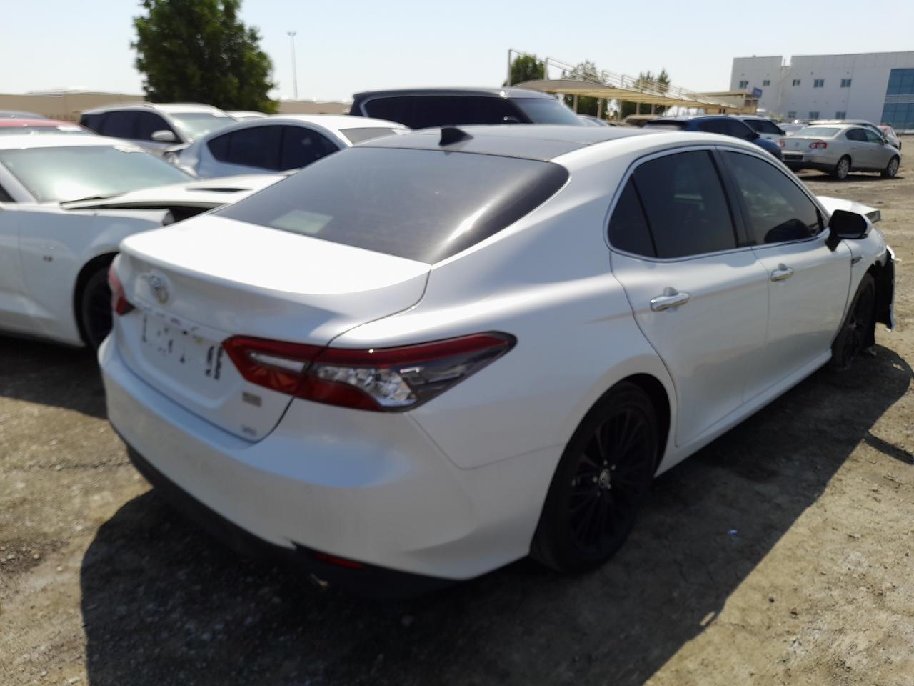 TOYOTA CAMRY  2023