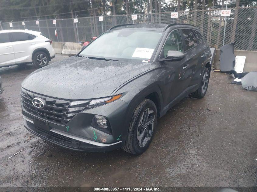 HYUNDAI TUCSON HYBRID SEL CONVENIENCE 2024