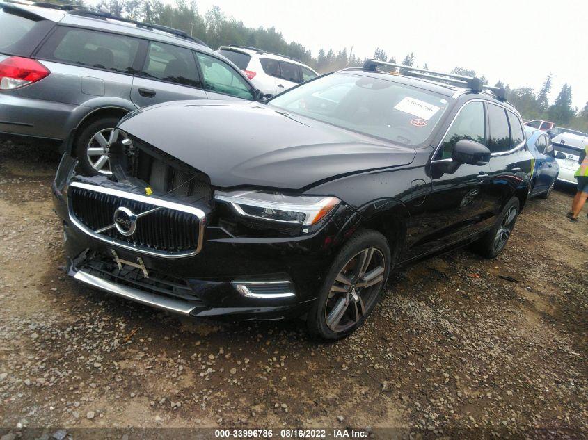 VOLVO XC60 MOMENTUM 2019