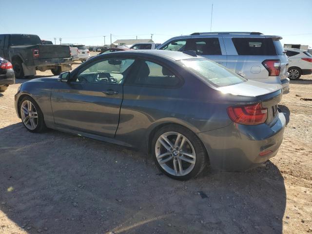 BMW 2 SERIES 228 I SULE 2016