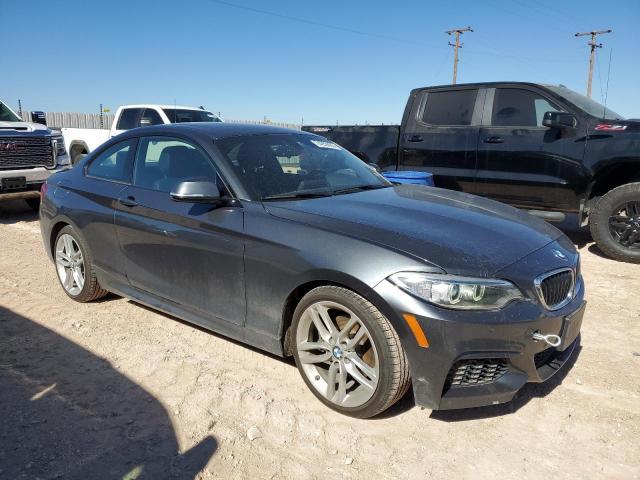 BMW 2 SERIES 228 I SULE 2016